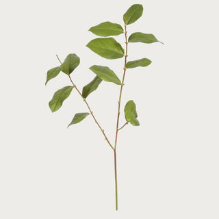 35 inch real touch salal leaf stem with structured branching and soft green foliage isolated on white background for modern floral styling