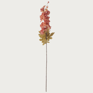 37 inch dark peach delphinium stem