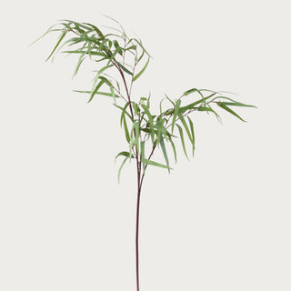 44" Weeping Eucalyptus Branch