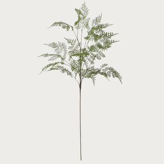 46 inch real touch green lace fern stem with airy feathery foliage and tall branching structure isolated on white background for modern interior styling