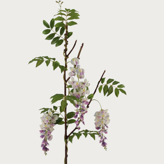 47 inch two tone white and purple wisteria stem, Third & Main