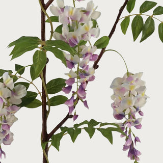 47" Two Tone Wisteria, with purple and white, Faux Floral, Home Decor, Third & Main, Flower, Florals