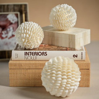 5" Cream Clam Rose Shell Ball , Third & Main