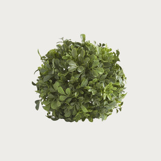7" Boxwood Ball. This boxwood ball is 7" in diameter and makes for a fantastic filler for bowls, trays, jars ad vases. They also look great sitting on a stack of books or on a bookshelf. Third & Main, Boxwood, Floral, Home Decor, Greenery, Filler. 