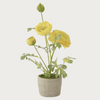 Yellow Potted Real Touch Ranunculus
