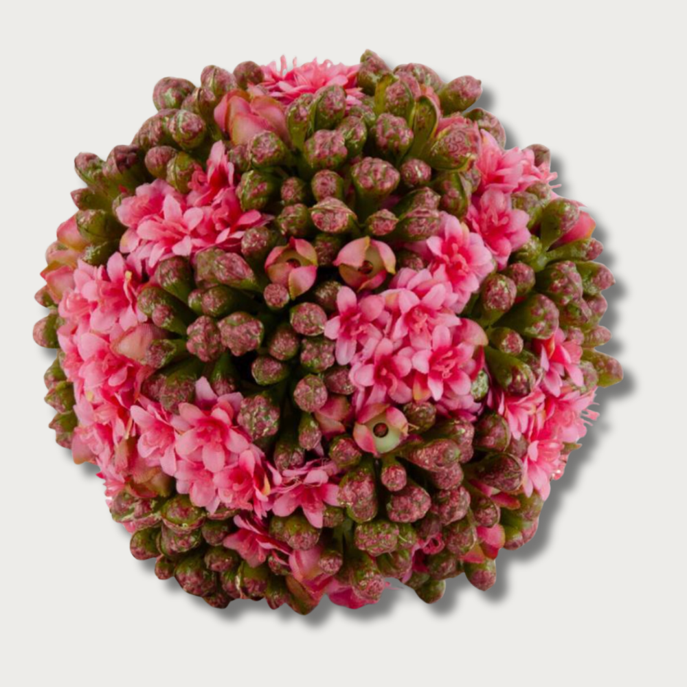 Pink 4" Kalanchoe Floral Orb
