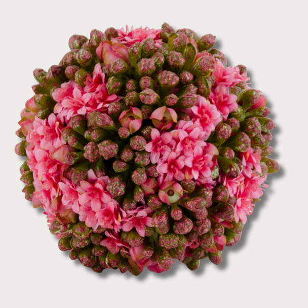 Pink 4" Kalanchoe Floral Orb
