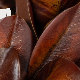 Extreme close-up of the magnolia-style leaves showing bourbon and amber-brown color variation, detailed veining, and subtle surface texture.