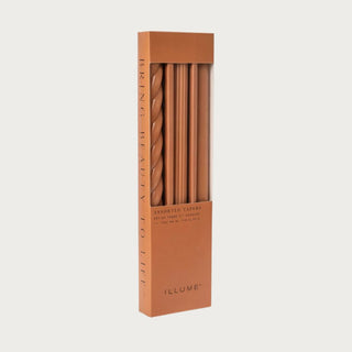Boxed Set of 3 Taper Candles in Terracotta Color