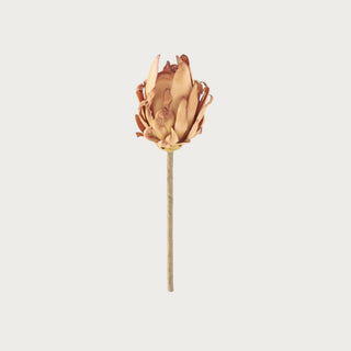 Brown faux musella stem with ombre tones home styling