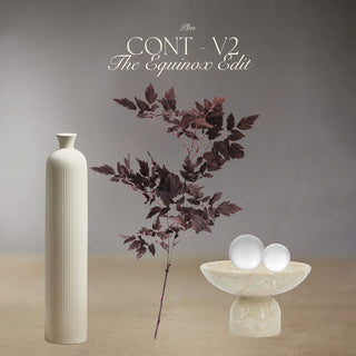 Contemporary Decor Box - One-Time Purchase