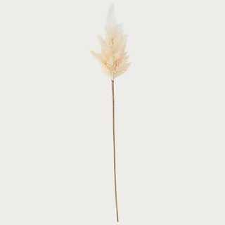 35" Cream And White Ombre Pampas Stem, Fall Floral, Fall Decor, Fall, Faux Floral, Third & Main, Autumn, Home Decor