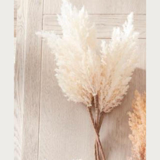 35" Cream And White Ombre Pampas Stem, Fall Floral, Fall Decor, Fall, Faux Floral, Third & Main, Autumn, Home Decor