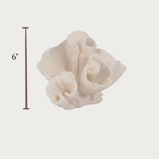 Cream coral-like resin sculpture with a 6-inch measurement stick on a light cream background