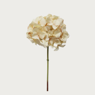 20.5" Light Cream Faux Hydrangea Stem