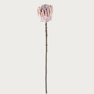 Flocked pink king protea stem with layered petals and natural-look stem, styled for modern and elevated floral arrangements