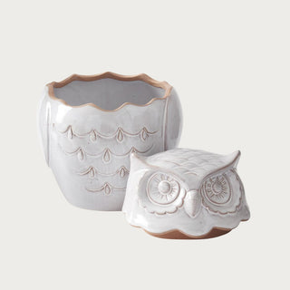 Gray-white glazed ceramic owl cookie jar shown open with its sculpted owl-head lid removed, revealing the hollow interior for storing cookies and baked goods.