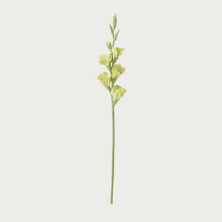 Green True Bloom real touch gladiolus stem with softly layered green blooms and a natural vertical silhouette, shown as a single 34-inch faux floral on a clean neutral background.