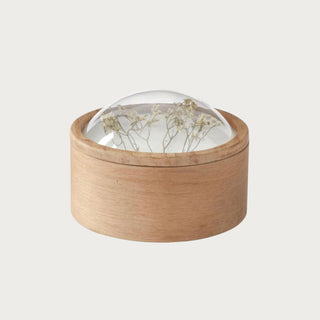 Large Dome Top Dried Floral Container with natural wood base, clear rounded dome lid, and delicate dried floral stems displayed inside the top.