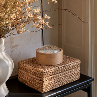 Large Dome Top Dried Floral Container styled on a woven box beside a white vase with pale dried branches, showing the natural wood base, clear rounded dome, and preserved botanical lid detail.