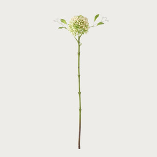20 inch light green real touch sedum stem with clustered bloom and textured bud head isolated on white background for modern floral styling