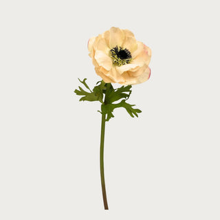 Light Peach Real Touch Anemone Stem 17.5" – Third & Main