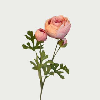 Light Pink True Bloom Real Touch 25" H Triple Bloom Ranunculus, 25"H-Faux Floral-Third & Main-Third &amp; Main