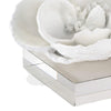 Regina Andrew Magnolia on Crystal Base