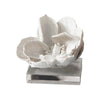 Regina Andrew Magnolia on Crystal Base