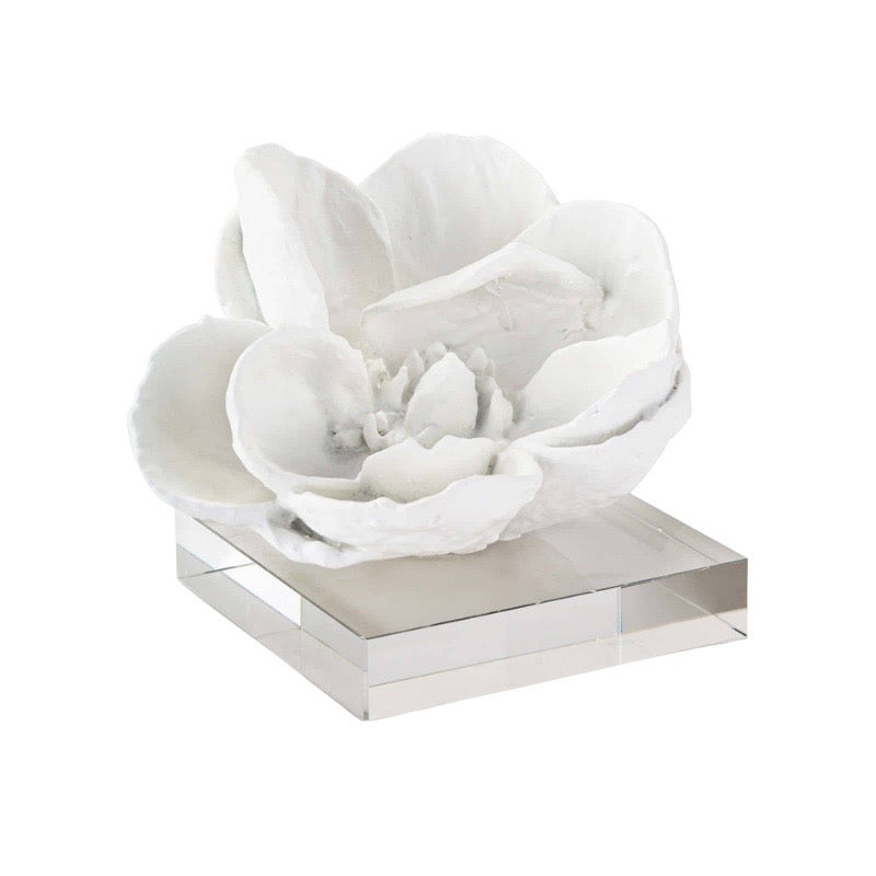 Regina Andrew Magnolia on Crystal Base