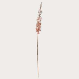 Peach Foxtail Lily Stem 42.5" Faux Floral