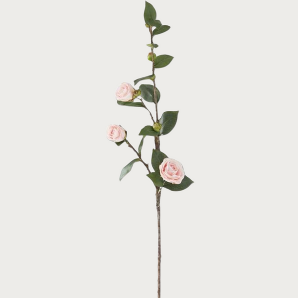30" Pink Camellia Stem