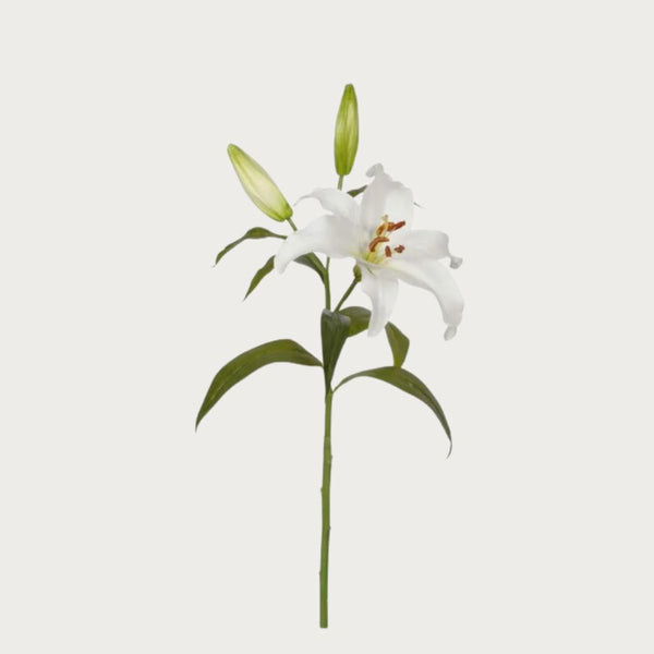 27" Real Touch Casablanca Lily