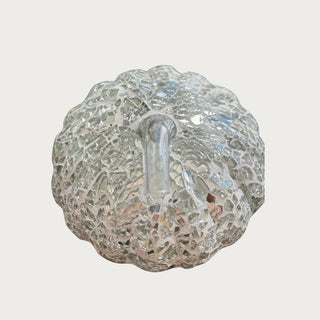 ReVive Decor Photo of Pumpkin with Clear Stem by Pottery Barn- 6" High x 6.5" Wide. Good condition with some minor discoloring of the adhesive throughout and a small dent in the padded bottom. 