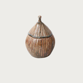ReVive Decor  by Third & Main New Without Tags Glaxed Ceramic acorn jar for seasonal display
