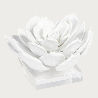 Regina Andrew White Resin Succulent on Crystal Base, Home decor, accent item, Third & Main, Floral, Flower