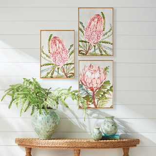 Set of three queen protea floral art prints in soft pink and green tones, botanical watercolor-style giclée prints with natural wood frames, modern wall decor for living room or bedroom. 