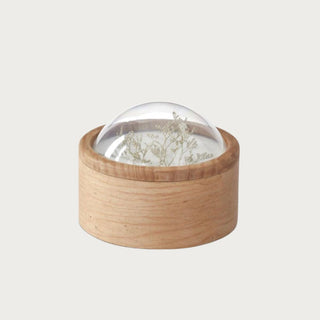 Small Dome Top Dried Floral Container with natural wood base, clear dome top, and preserved dried floral detail for tabletop or shelf styling.