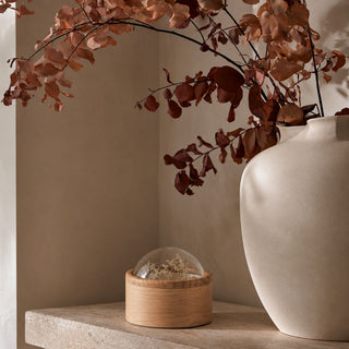 Small Dome Top Dried Floral Container styled on a stone shelf beside a cream vase with warm fall branches, showing the natural wood base, clear dome lid, and preserved floral detail.