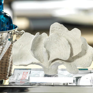 White Coral Sculpture on Acrylic Base