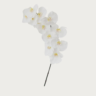 Real Touch Orchid Stem-Faux Floral-Third & Main-Third &amp; Main