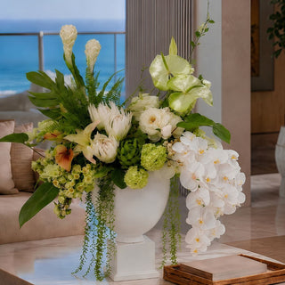 The Garden Room Floral Bundle styled in a white vase with white orchids, green snowballs, white protea, creamy ginger stems, anthurium, calla leaf, white lily of the valley, and lush greenery for elevated coastal and garden-inspired home decor.
