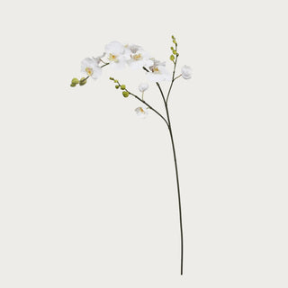 43" True Bloom Real Touch White Real Touch Orchid Stem