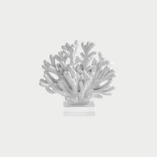 white resin coral sculpture on clear acrylic base styled for coastal bookshelf and luxury home decor
