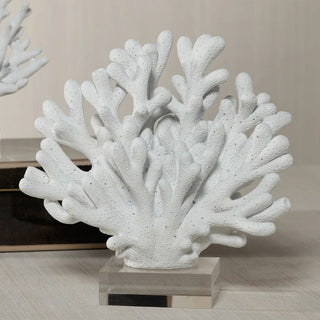 white resin coral sculpture on clear acrylic base styled for coastal bookshelf and luxury home decor