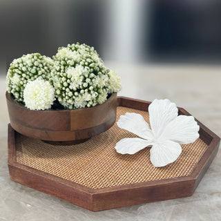 4" White Kalanchoe Ball Orb, Home Decor, Third & Main, Faux Floral, Florals, Flowers, Bowl Filler, Floral Filler, Decorative Orb/Ball