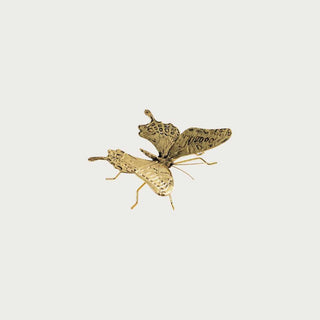 Antique gold decorative butterfly in solid zinc alloy with textured wings, shown flat against a neutral studio background
