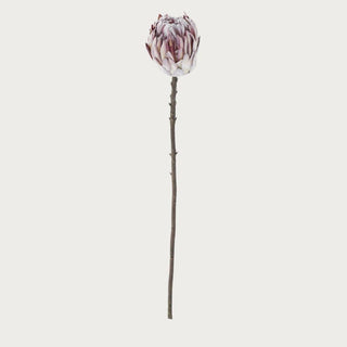 26-inch flocked purple king protea stem with velvety matte petals and natural-looking stem, styled as a sculptural faux floral for modern home decor