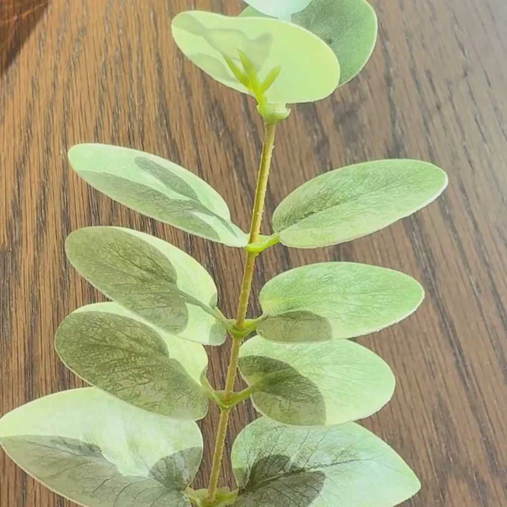 video of the 38 inch faux gunny eucalyptus stem showing color, texture and scale. slow rotation on a dark background