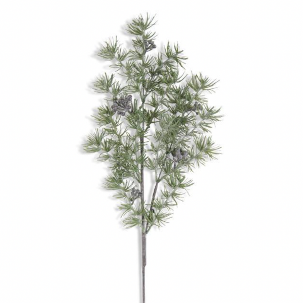 Blueberry Pine Stem - 30.5 Tall – Third & Main